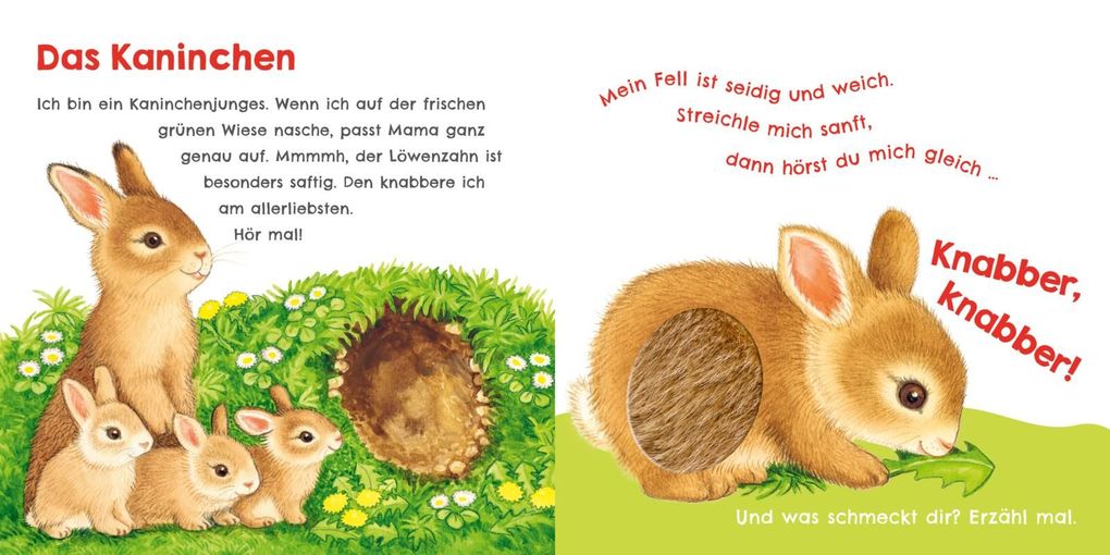 Weitere Ansicht: Hör mal, wie ich knabbern kann (Mein erstes Streichel-Soundbuch 5) | Julia Rosenkranz