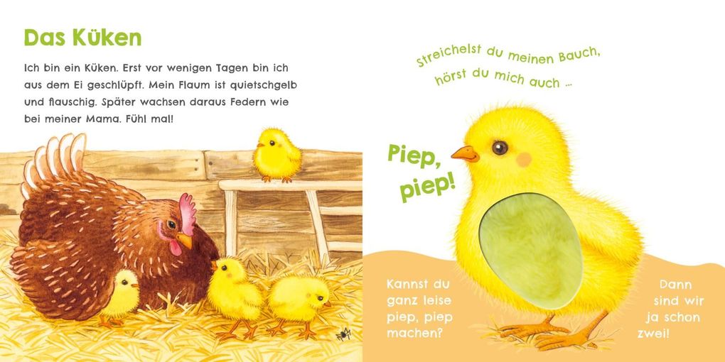Weitere Ansicht: Hör mal, wie ich knabbern kann (Mein erstes Streichel-Soundbuch 5) | Julia Rosenkranz