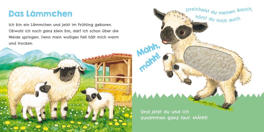 Weitere Ansicht: Hör mal, wie ich knabbern kann (Mein erstes Streichel-Soundbuch 5) | Julia Rosenkranz