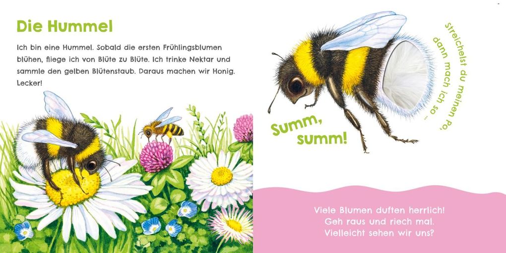 Weitere Ansicht: Hör mal, wie ich knabbern kann (Mein erstes Streichel-Soundbuch 5) | Julia Rosenkranz