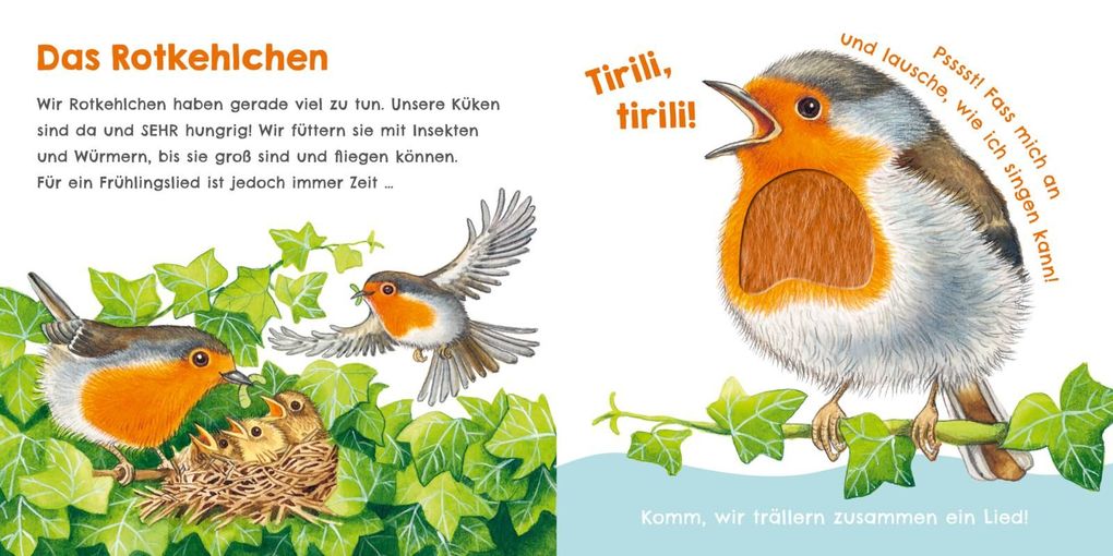 Weitere Ansicht: Hör mal, wie ich knabbern kann (Mein erstes Streichel-Soundbuch 5) | Julia Rosenkranz