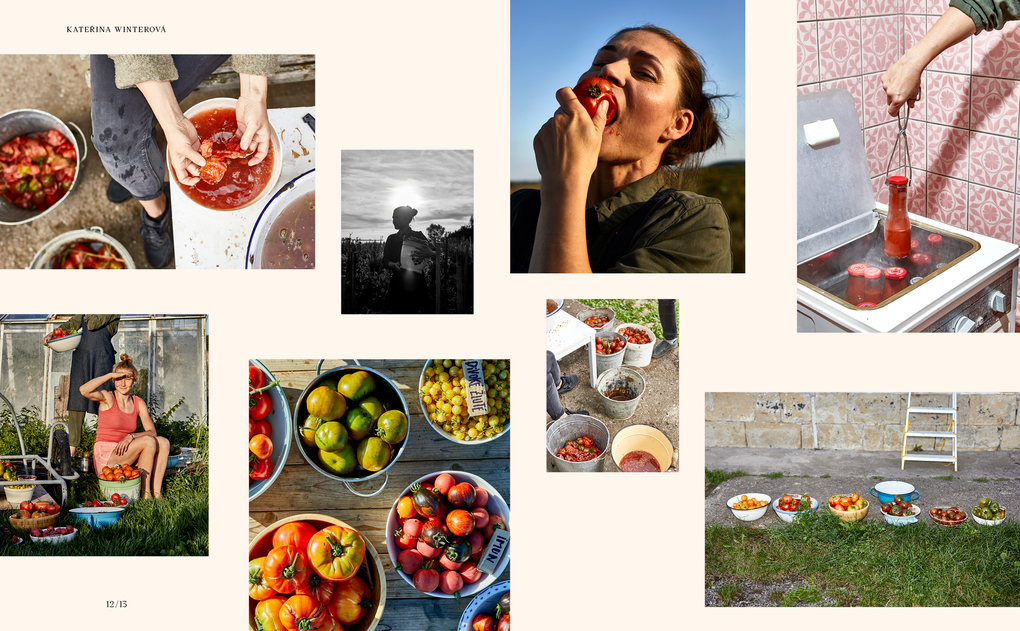 Weitere Ansicht: God is a Pickle