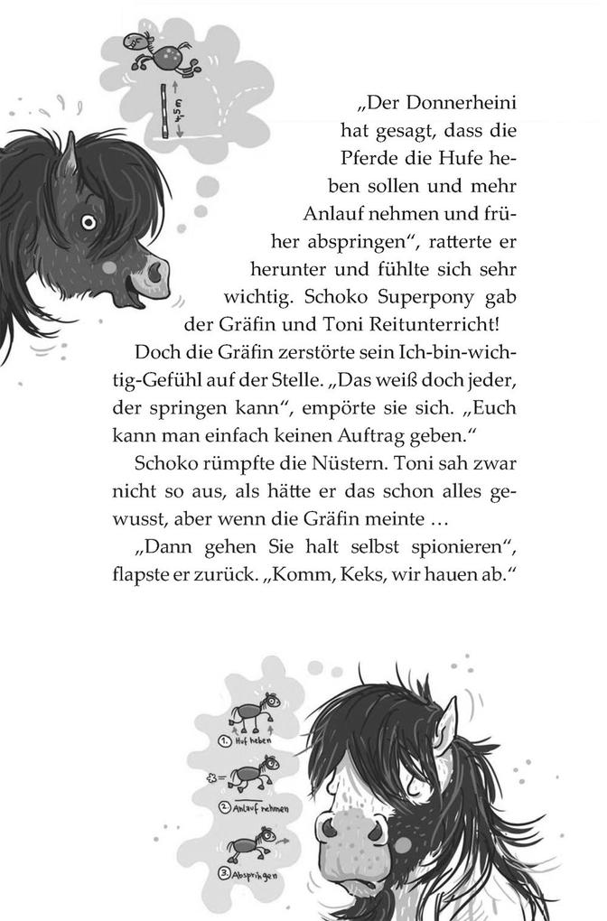 Weitere Ansicht: Die Haferhorde 3: Immer den Nüstern nach! | Suza Kolb