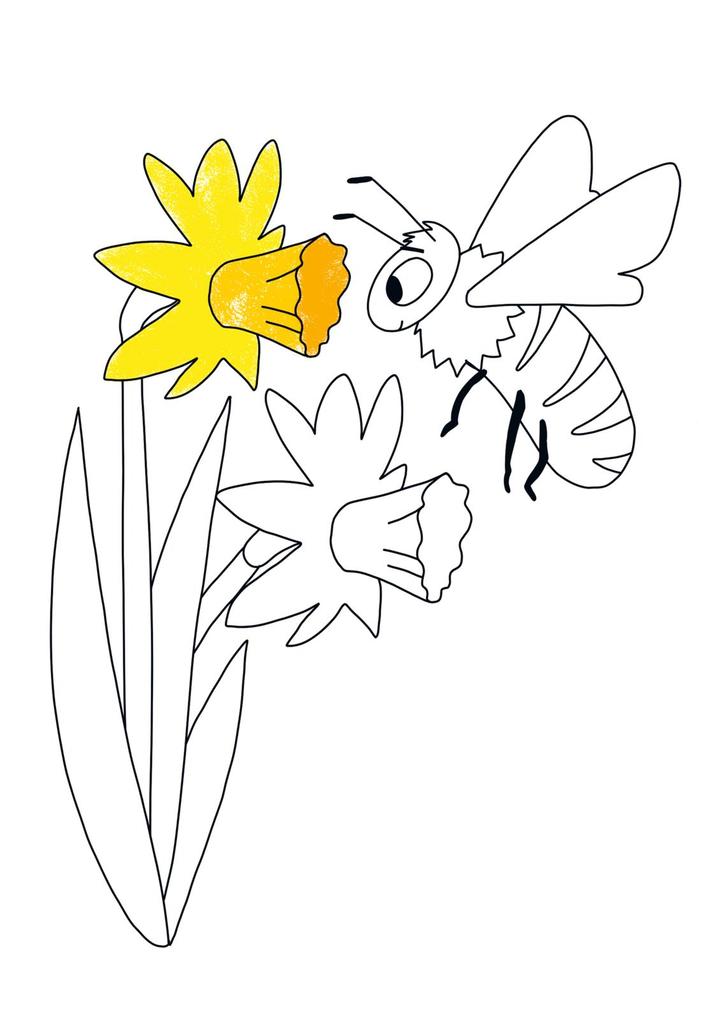 Weitere Ansicht: Mein bunter Oster-Malblock