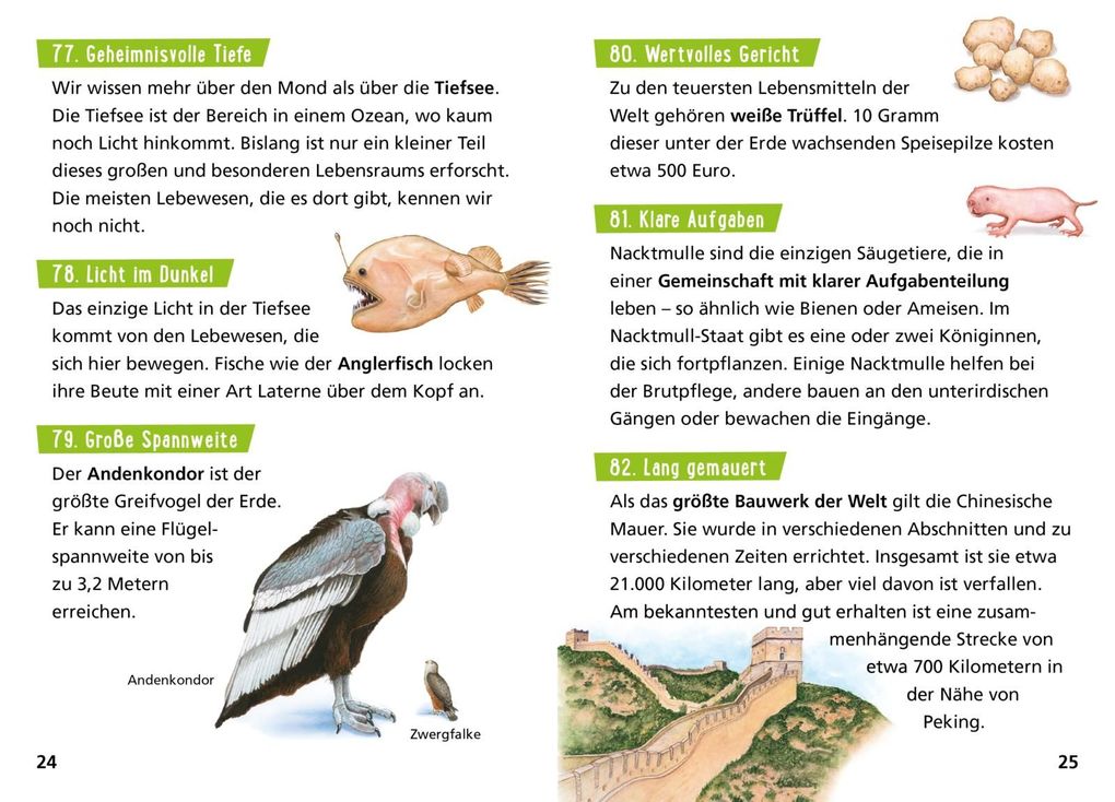 Weitere Ansicht: Pixi Wissen 57: VE 5: Die Erde. 100 erstaunliche Tatsachen | Cordula Thörner