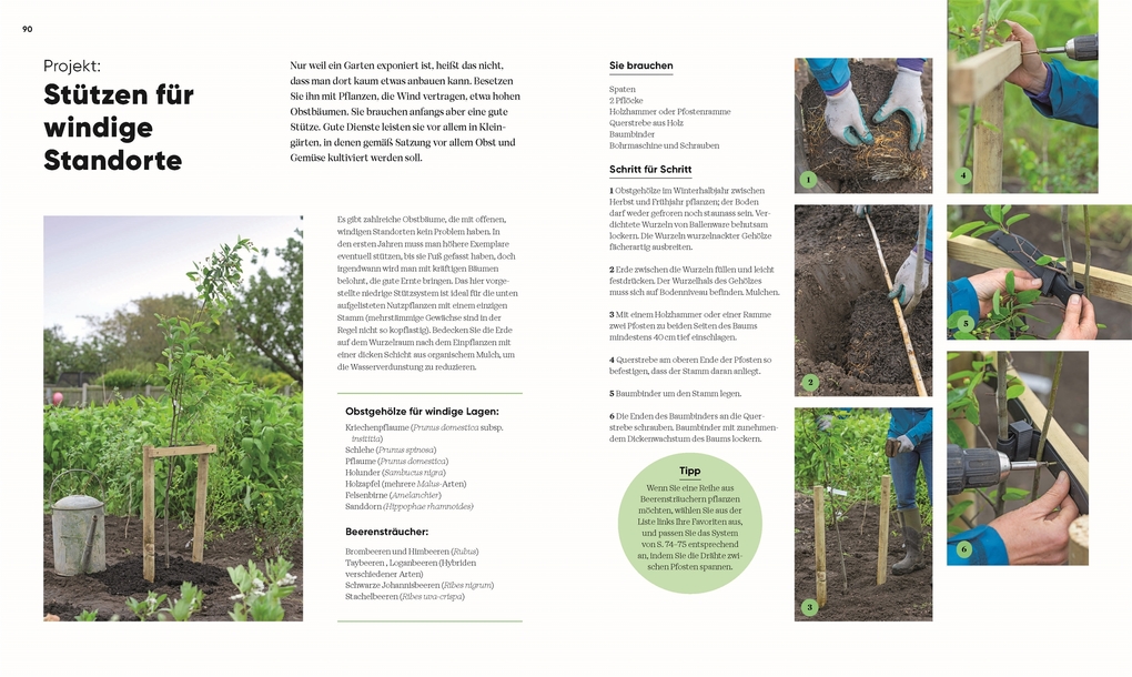 Weitere Ansicht: Hier wächst was! | Lucy Chamberlain