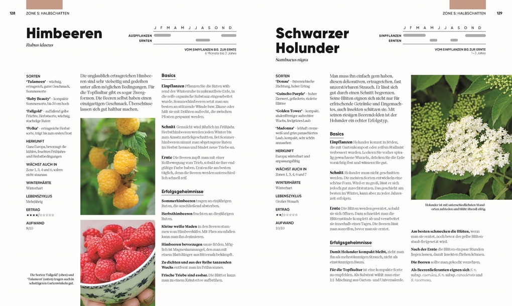 Weitere Ansicht: Hier wächst was! | Lucy Chamberlain