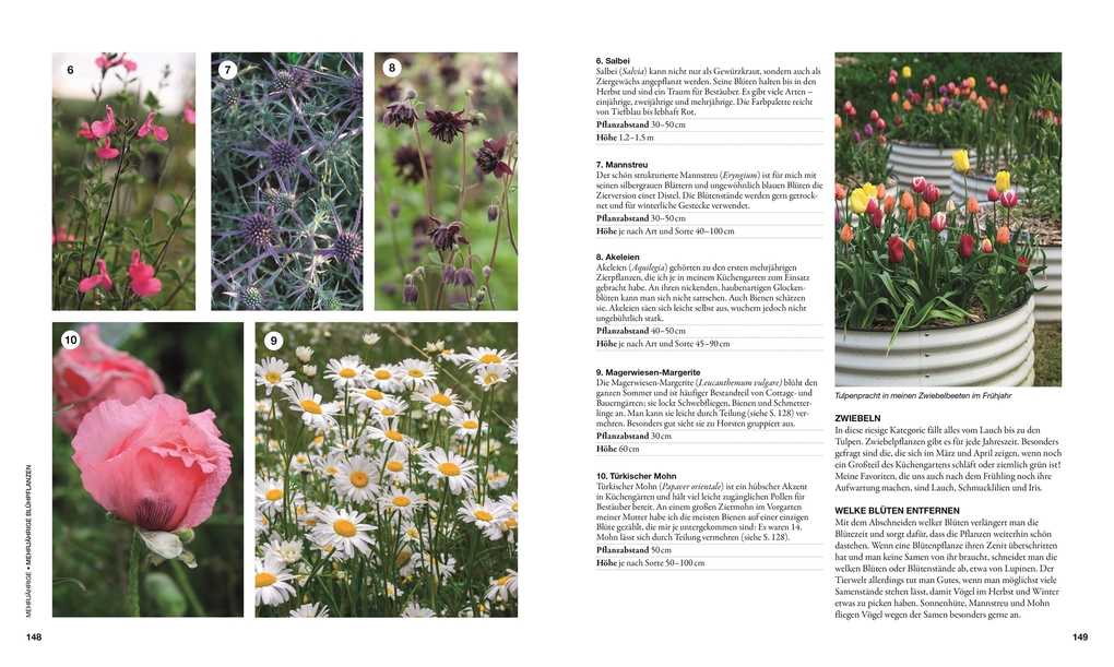 Weitere Ansicht: Permakultur | Huw Richards