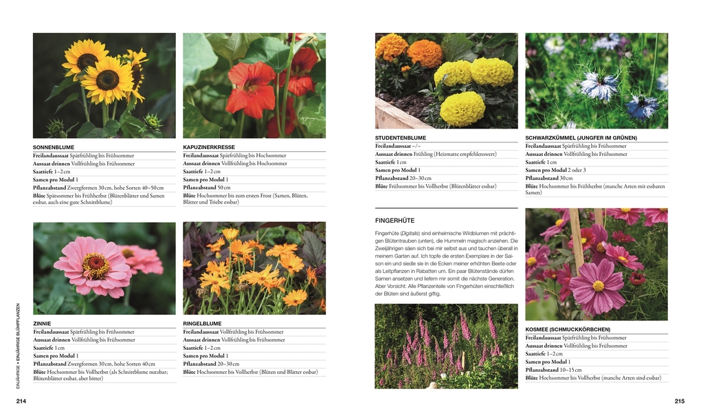 Weitere Ansicht: Permakultur | Huw Richards