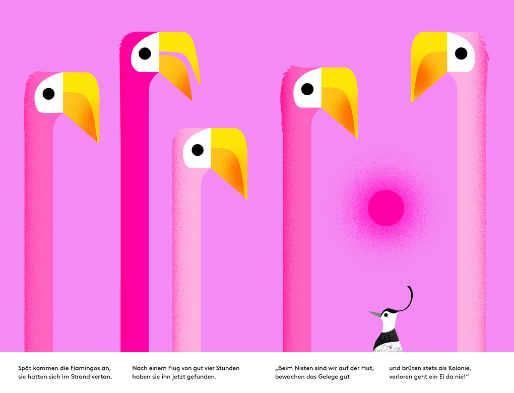 Weitere Ansicht: Auwei! Ein Ei! | Lena Mühlemann