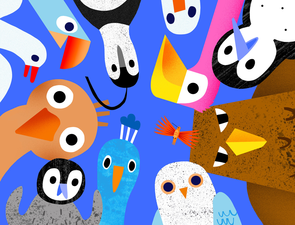 Weitere Ansicht: Auwei! Ein Ei! | Lena Mühlemann