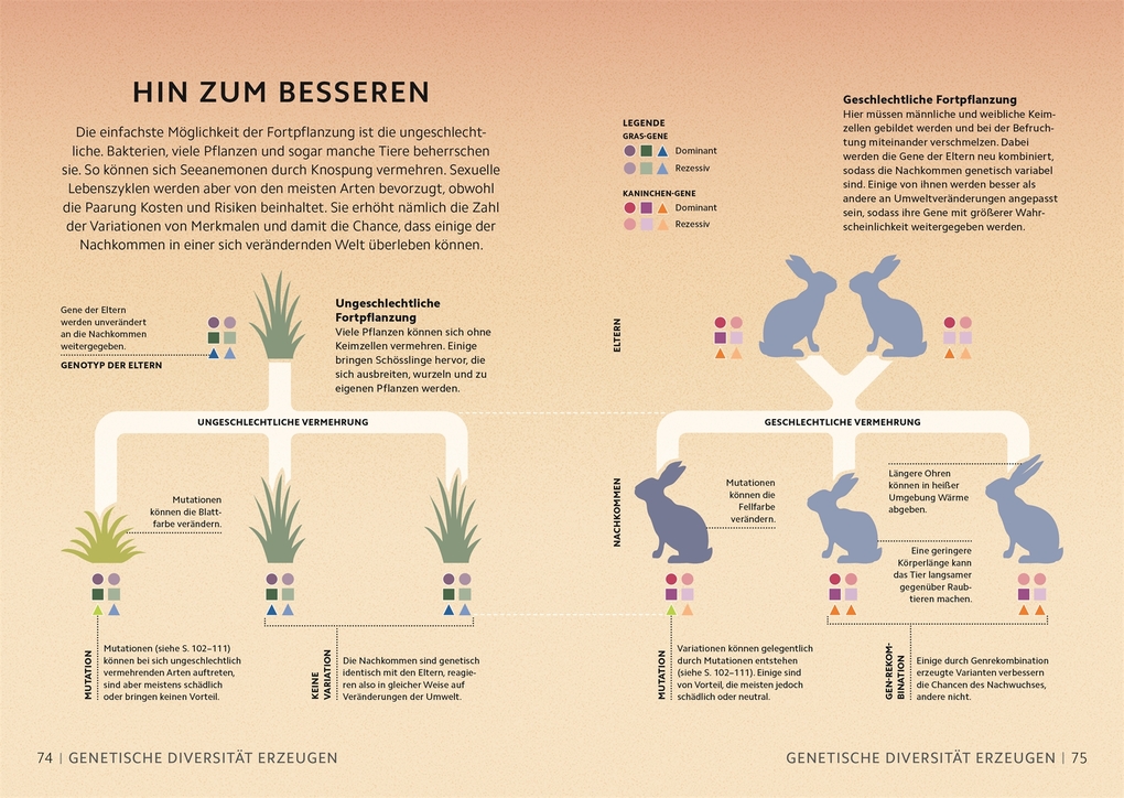 Weitere Ansicht: SIMPLY. Genetik | Derek Harvey, Jo Locke