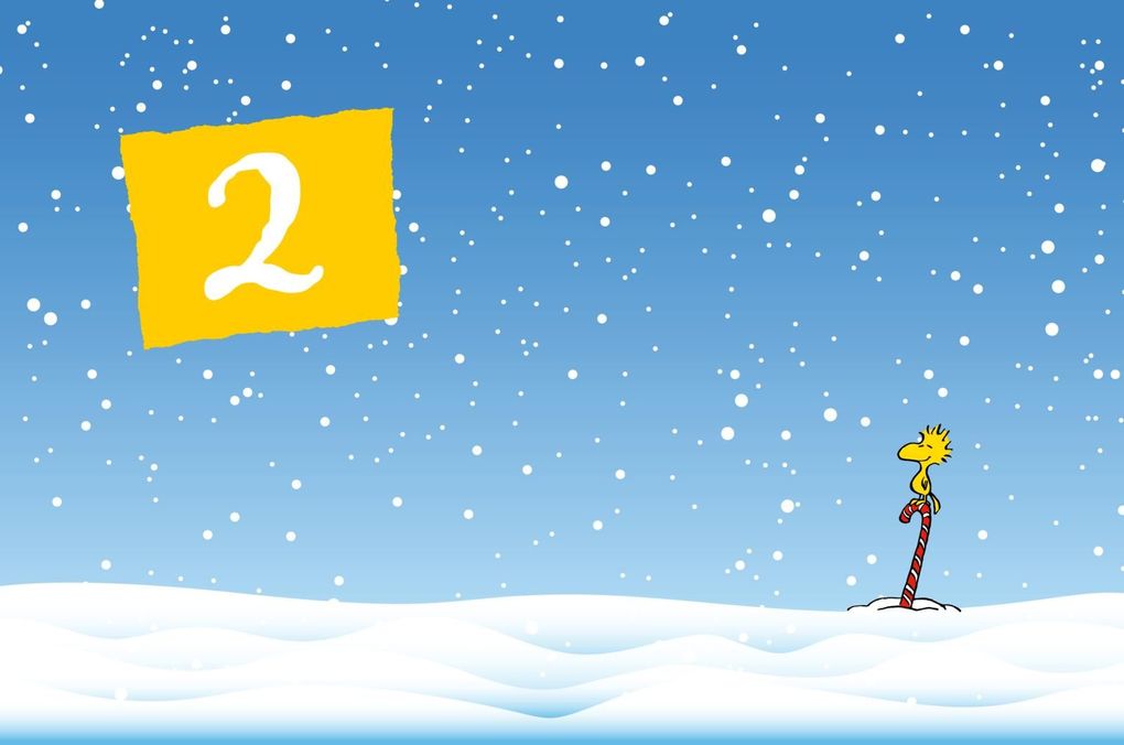 Weitere Ansicht: Peanuts Geschenkbuch: Mit Snoopy und den Peanuts durch den Advent | Charles M. Schulz