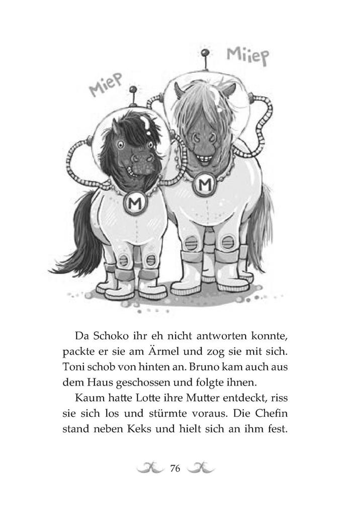 Weitere Ansicht: Die Haferhorde 1: Flausen im Schopf | Suza Kolb