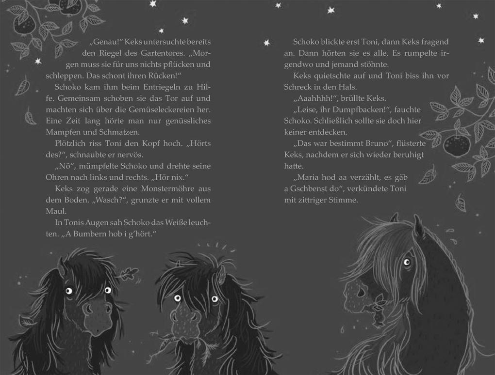 Weitere Ansicht: Die Haferhorde 1: Flausen im Schopf | Suza Kolb