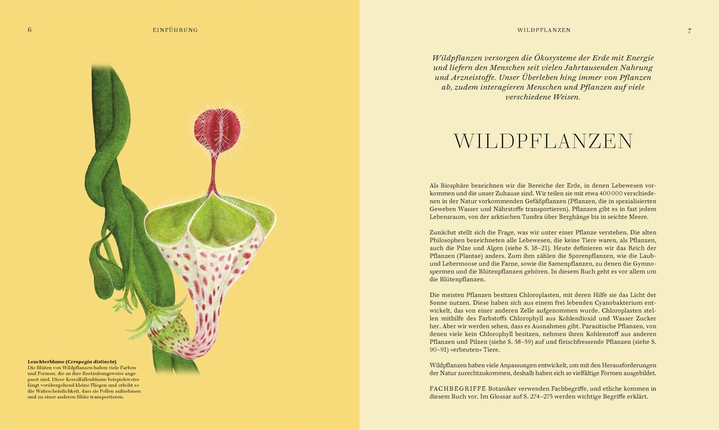 Weitere Ansicht: Wildpflanzen | Chris Thorogood