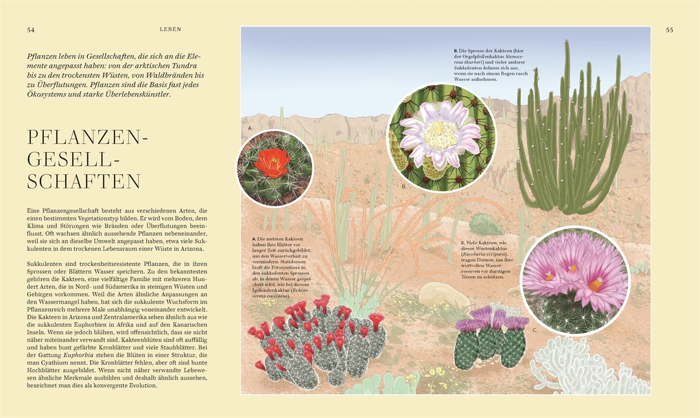 Weitere Ansicht: Wildpflanzen | Chris Thorogood