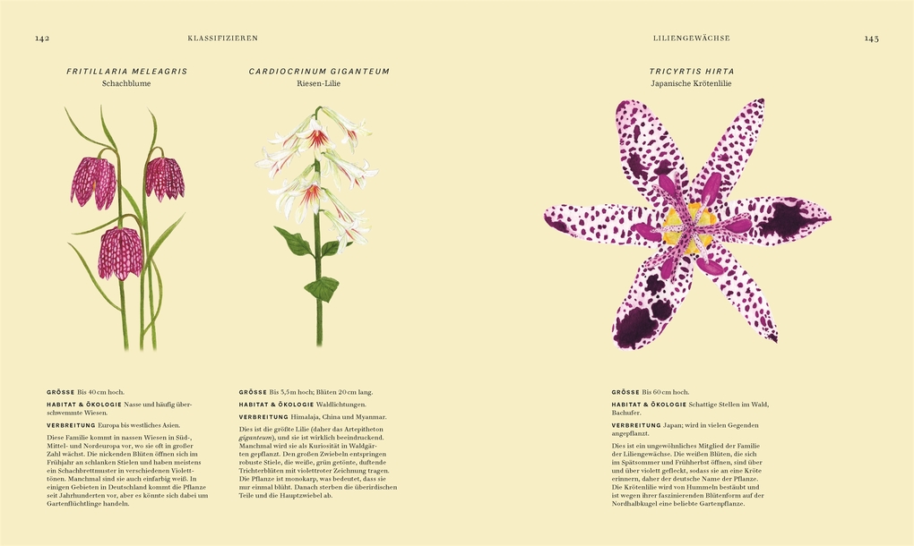 Weitere Ansicht: Wildpflanzen | Chris Thorogood