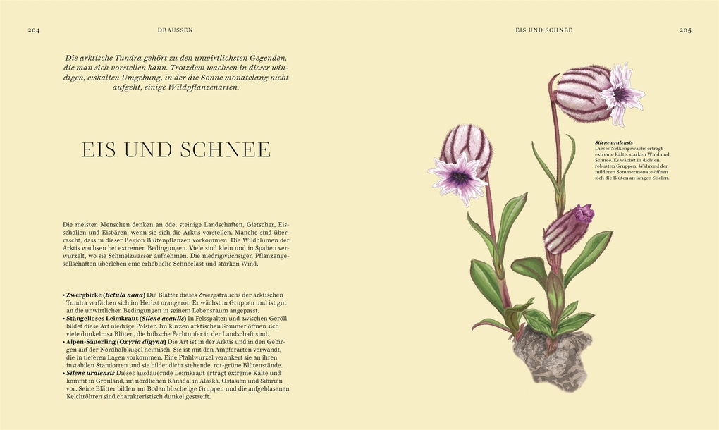 Weitere Ansicht: Wildpflanzen | Chris Thorogood