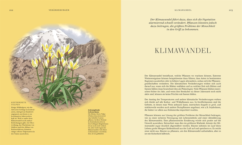 Weitere Ansicht: Wildpflanzen | Chris Thorogood