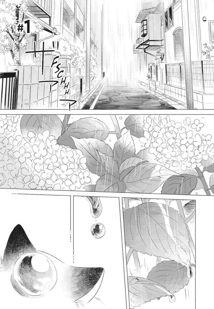 Weitere Ansicht: Fairy Cat 1 | Hisa Takano