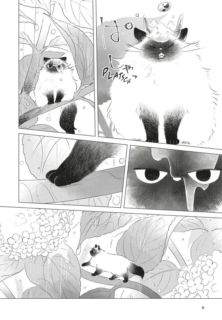 Weitere Ansicht: Fairy Cat 1 | Hisa Takano