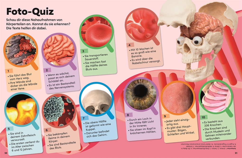 Weitere Ansicht: memo Wissen Kids. Der Körper