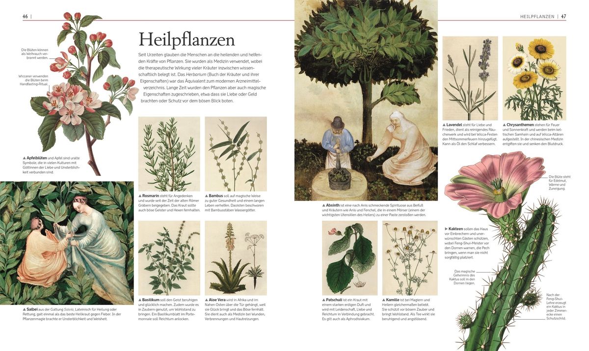 Weitere Ansicht: Die Geschichte von Magie, Hexerei & Okkultem | Thomas Cussans, John Farndon, Ann Kay, Philip Parker
