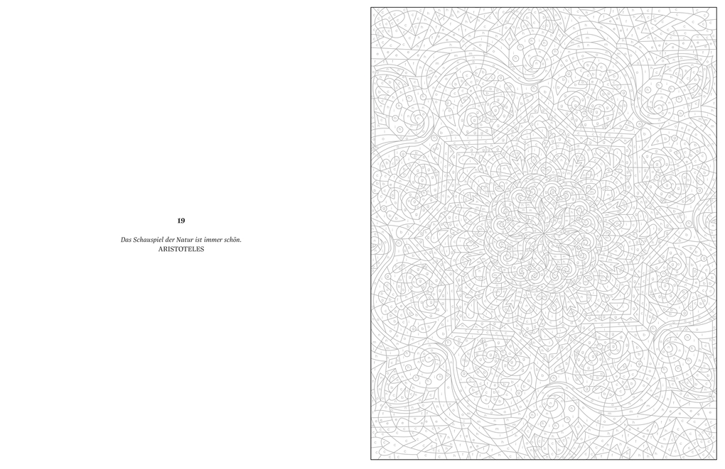 Weitere Ansicht: Ausmalen & Entspannen. Mandalas