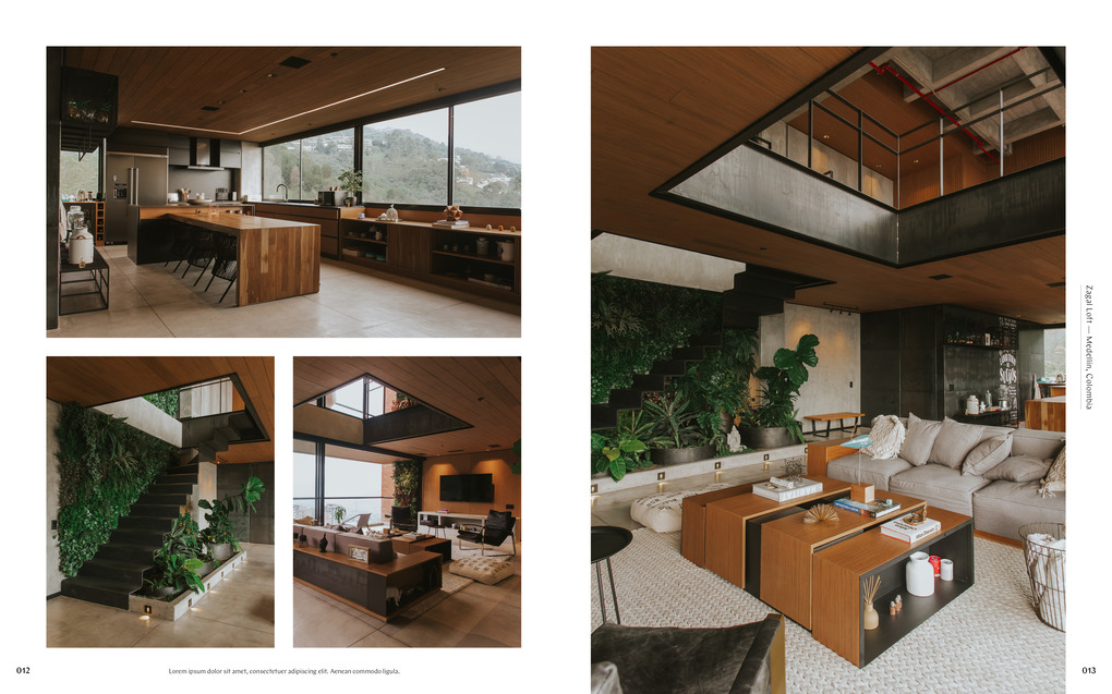 Weitere Ansicht: Penthouse Syndrome