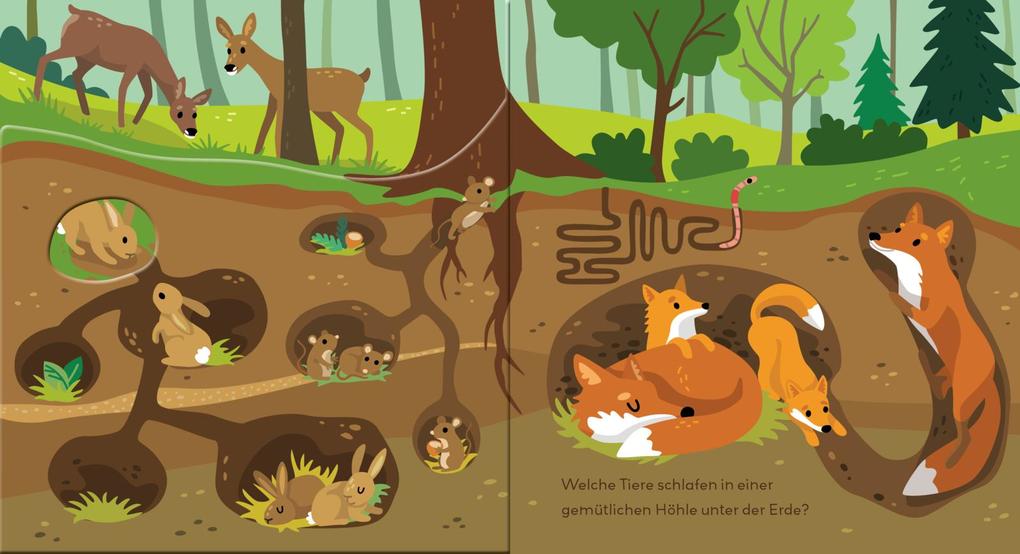 Weitere Ansicht: Baby Pixi (unkaputtbar) 178: Flippediflapp: Tiere im Wald | Kathrin Wessel