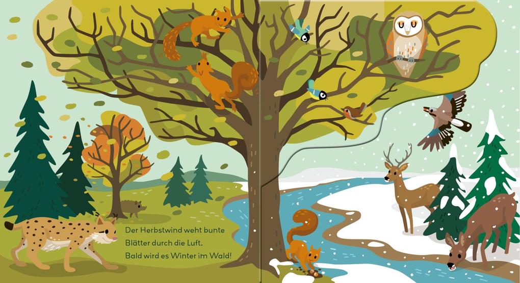 Weitere Ansicht: Baby Pixi (unkaputtbar) 178: Flippediflapp: Tiere im Wald | Kathrin Wessel