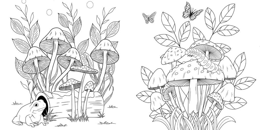 Weitere Ansicht: Faszinierende Pilze