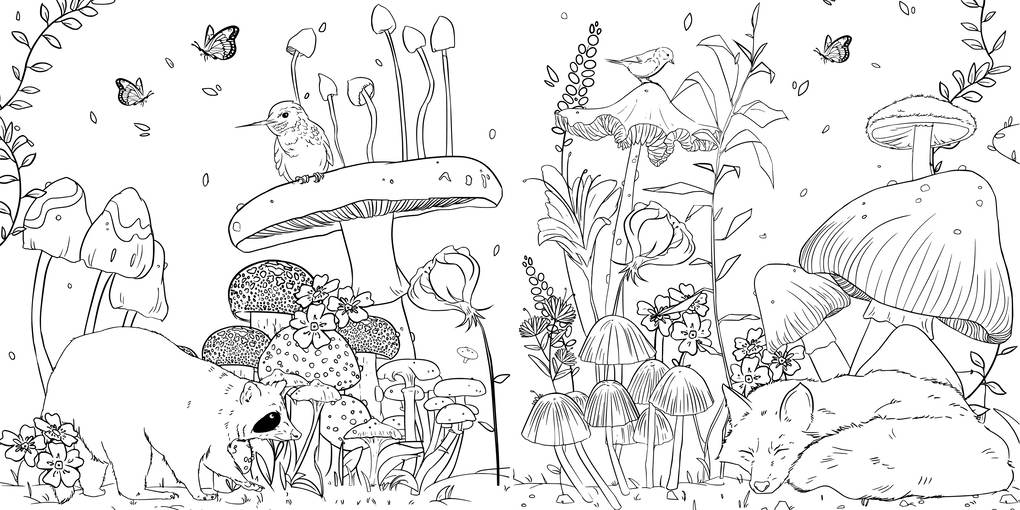 Weitere Ansicht: Faszinierende Pilze