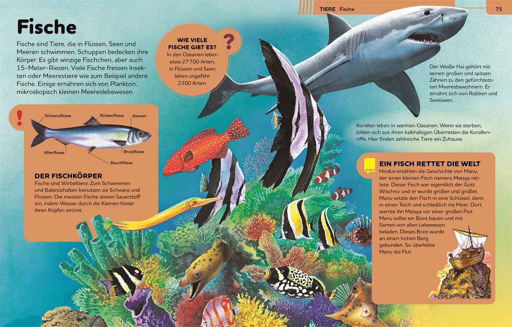 Weitere Ansicht: Das große Kinderlexikon Grundschulwissen | Philip Steele, Barbara Taylor, Deborah Chancellor