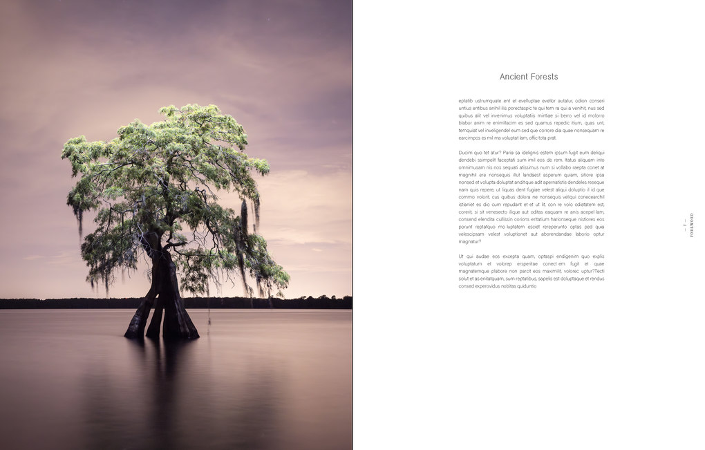 Weitere Ansicht: American Amazon | Mac Stone