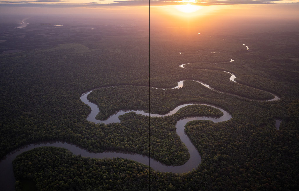 Weitere Ansicht: American Amazon | Mac Stone