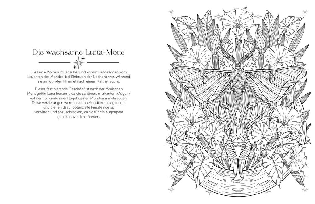 Weitere Ansicht: Im magischen Mondlicht | Stratten Peterson