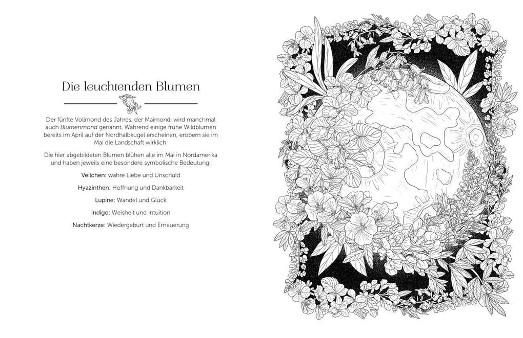 Weitere Ansicht: Im magischen Mondlicht | Stratten Peterson