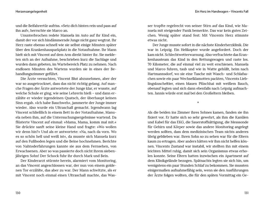 Weitere Ansicht: Herzensangelegenheit | Martin Kostelka