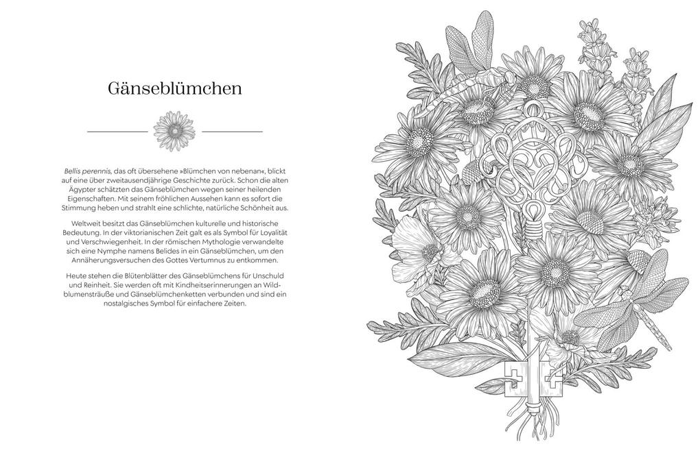 Weitere Ansicht: Geheimnisvoller Blütenzauber zum Ausmalen | Stratten Peterson