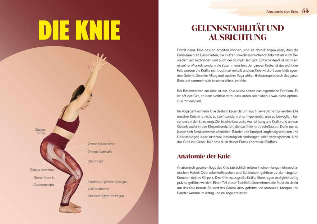 Weitere Ansicht: Easy Yoga-Anatomie | Lisa Delikaris-Monn