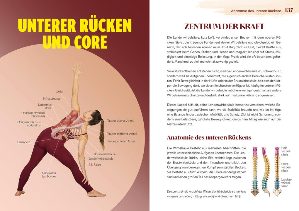 Weitere Ansicht: Easy Yoga-Anatomie | Lisa Delikaris-Monn