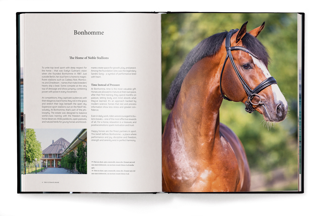 Weitere Ansicht: Equestrian | Alena Brandt