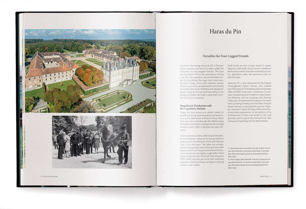 Weitere Ansicht: Equestrian | Alena Brandt