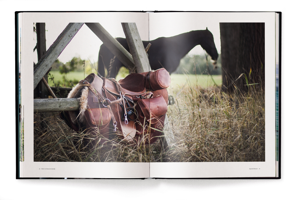 Weitere Ansicht: Equestrian | Alena Brandt