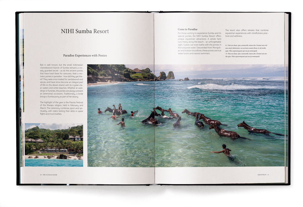 Weitere Ansicht: Equestrian | Alena Brandt