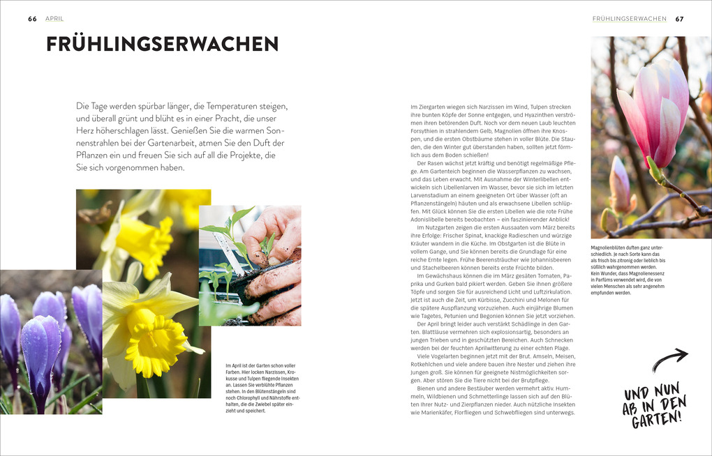 Weitere Ansicht: Das große Gartenjahr-Buch