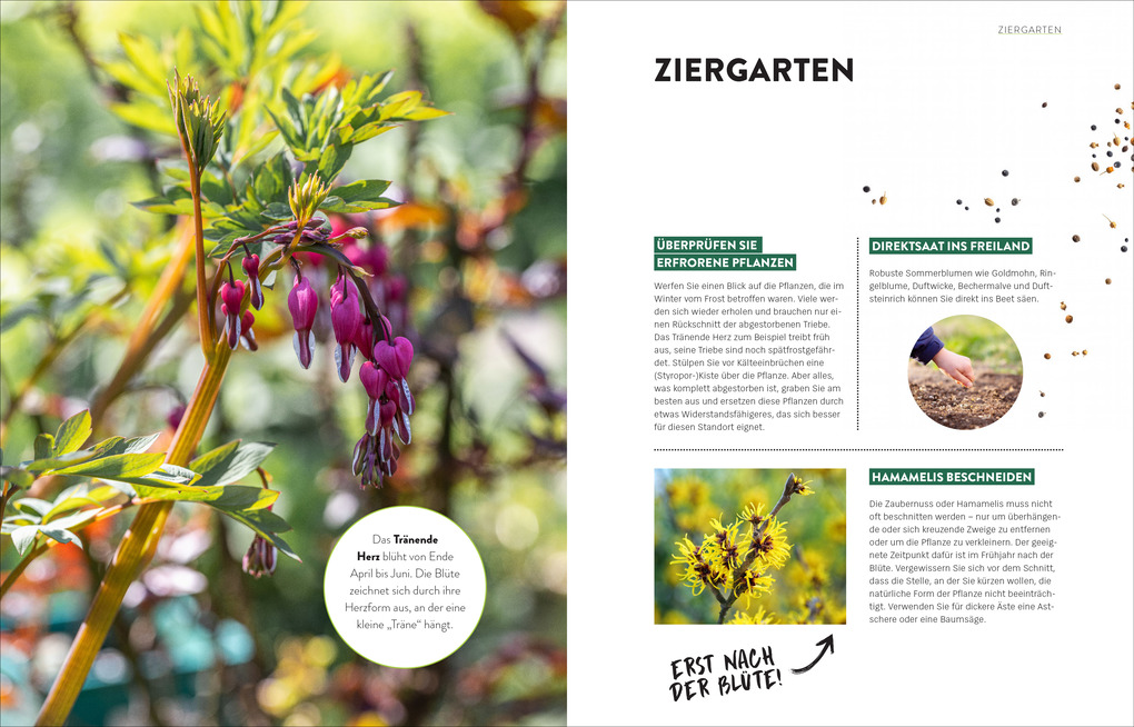 Weitere Ansicht: Das große Gartenjahr-Buch