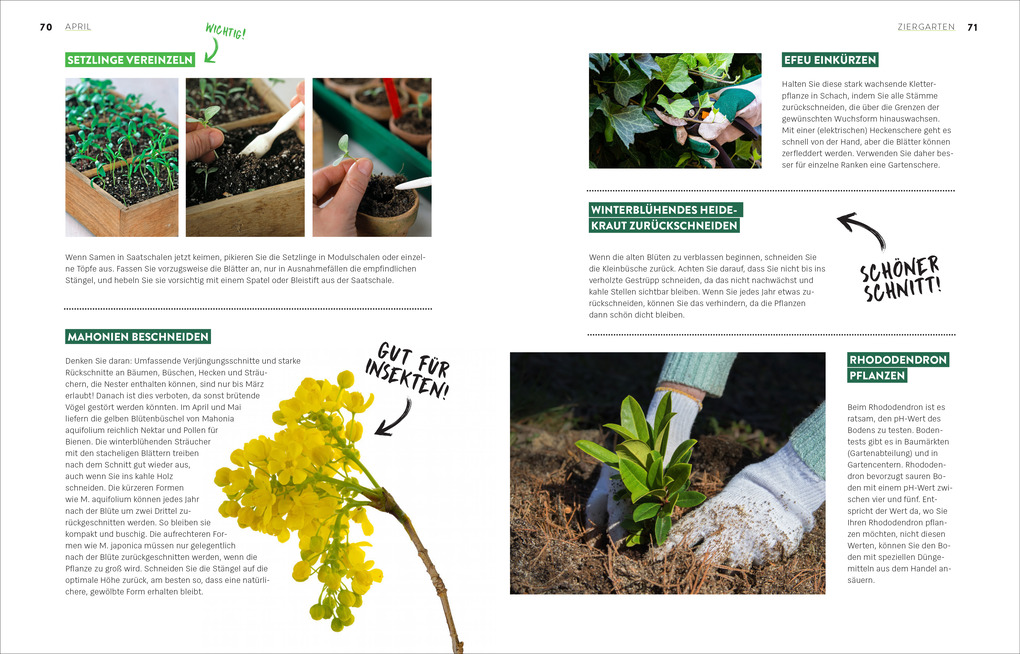 Weitere Ansicht: Das große Gartenjahr-Buch